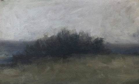 Pablo Contreras • Cold landscape