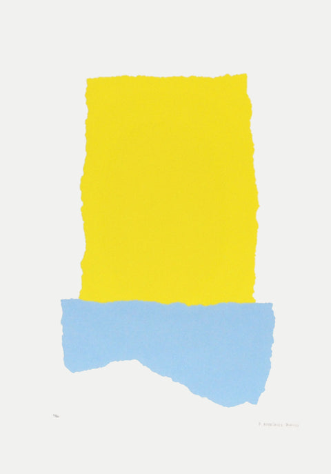Pablo Rodríguez Blanco • Color local IV amarillo/celeste